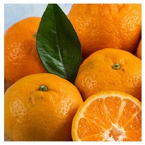 [영화농산]영화청과 특급 제주도귤 3.5kg 청 만들기 하우스 노지, 영화청과 특급 제주도귤 3.5kg _노란색 | 상세 페, 1개