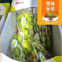 [행복농부] 프리미엄 고당도 김천샤인머스켓 2kg [3~4송이] 착한가격
