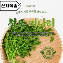 산지직송 청도미나리500g 1kg 제철 세척미나리 향긋한 부드러운 미나리, 500g, 1개