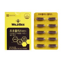 종근당건강 와일드 비 프로폴리스 플러스 60캡슐 아연 셀렌 항산화 구강청결