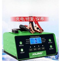 12V 배터리 재생기 바이크 트랙터 자동 복원기, 618V G5 500W(시작-정지리튬배터리)