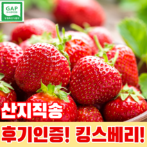 산지직송 킹스베리 비타베리 설향딸기 금실딸기, 킹스베리 - 왕특 40~59g(16알~20알)(2팩), 1개