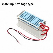 차량용 자동차 공기 청정기 오존 발생기 12V 110V 220V 10g 더블 세라믹 플레이트 소독 워터 필터 클리너 살균기 이오나이저, 220V_CHINA