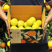 [추석선물세트]황금향 선물세트 2.5kg(14-18과), 단품