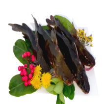 특별할인판매 고산민물수산 빠가사리 1kg 국내산 손질, 1kg 손질 선어, 1개