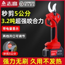 가지치기 전자 전동 가위 나무 꽃 원예 조경 톱 충전 가위 과일 나무, 직경 5cm 절단 가능