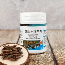 열풍건조 벼메뚜기 20g 소동물 앵무새 고단백질 간식, [단일상품]
