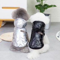 강아지 애견 유치원 고양이 패딩 반려견 후드 겨울의류 옷 외출 펫셔니 우주 조끼, 실버_S