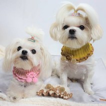 강아지 댕냥이들 아주 편한 넥워머 겸 목폴라 목도리기모 골지 S 정품, 딥그린