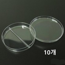 교과수업 세포배양 실험실 2칸 페트리디쉬 10개 유리관 교육용 물질반응 용기