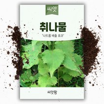 참취나물씨앗/ 취나물 (4g)