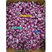 태국산 샬롯 미니양파 빨간색미니양파 살롯, 태국산 살롯 100g ខ្ទឹមក្រហមថៃ