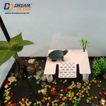 NOMOY 거북이섬- 거북이어항 육지 거북이 수족관 쉼터, 1개