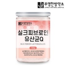 부영한방약초 실크피브로인 유산균 100g, 1개