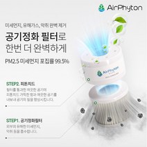 피톤치드 차량용 방향제 제스퍼 에어피톤 리필, 피톤치드3