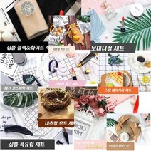 상품촬영 미니 1인 스튜디오 찰용 소품 생활데코 장식, 그리너리플랜트