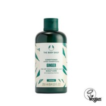더바디샵 진저 스캘프 케어 컨디셔너 250ML 97896 신세계의정부점
