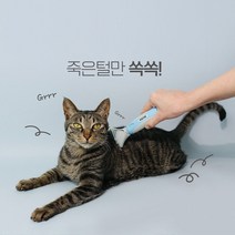고양이 그루밍 브러쉬 피부자극 없이 죽은털 제거