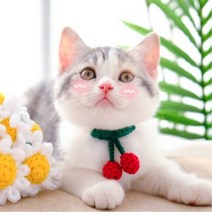 예보들 고양이 방울목걸이 핸드메이드, 그린