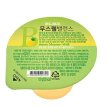 메디푸드 무스웰 밸런스 영양푸딩 100g 10개 환자식