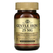 솔가 Gentle Iron 25mg 90캡슐, 1개, 기본