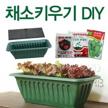 [딜]베란다에서 간편하게~채소키우기! 채소DIY세트, 채소키우기(DIY-대-화이트) 청치마상추