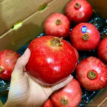 석류 생과 생석류 대과 2.5kg, 1, 본상품선택