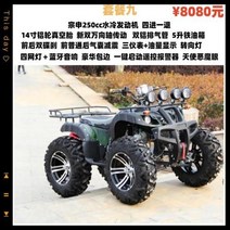 4륜 오토바이 오프로드 산악전동 ATV 신형 바이크, 14.大公牛套餐九