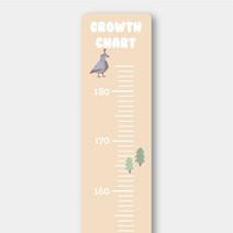 동물 디자인 키재기자, 동물아이보리키재기자