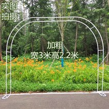 정원 가든아치 단독주택 꾸미기 녹 방지 철제 아치 포도 나무 꽃 선반 야외 장식 아크 게이트 울타리 안뜰 바닥 야채 창고, [20] 유러피언 폭 3높이 2.3, [01] 중간