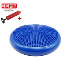 슬개골 운동기구 쿠션 강아지짐볼 밸런스볼, 퍼플