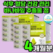 바나바 혈당 강하 관리 식품 당화 혈색소 낮추기 40대 여자 남성 여성 70대 바나바잎 여주 식후 조절 노년기 바나나잎 개선제 여주 전단계 식전 보조 식품 임산부 당료 추천 영양제