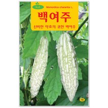 백여주씨앗 5립 채소씨앗(C0111)