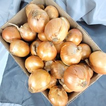 꿀비마켓 22년 국내산 햇양파 15kg 1번 2번 3번 식자재, 1번(10cm 이상)