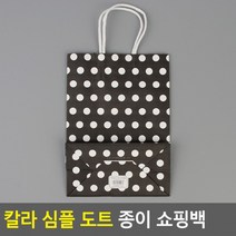 선물케이스 심플 포장봉투 쇼핑백(중) 칼라 종이 도트