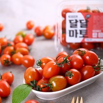 달달마토 스테비아 대추방울토마토 500g x 2팩, 단일속성