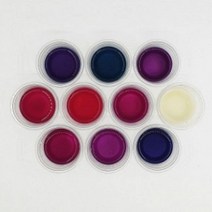 에듀아띠 양배추 천연지시약 ph실험 1인용 산염기지시약 화학실험세트