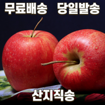 농부파파 경북 영천 껍질째먹는 맛있는 꿀사과 햇부사 흠집 못난이 흠과 가정용 추천 5kg 10kg 한박스, (정품) 5kg 특대 선물용추천 (9-12과)