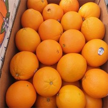 [블랙애플]달콤 한 고당도 고품질 오렌지 중대과 15kg, 고당도오렌지중대과)15kg