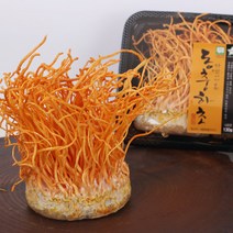 푸드공작소 무농약 동충하초 100~130g x 4팩, 단품