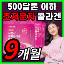 프리미엄 대용량 일양 500달톤 이하 초 저분자 피쉬 콜라겐 펩타이드 이너뷰티 골라겡 콜라갠 피부 보습 관리 스킨 케어 추천 효능 레몬맛 1000 mg 가루 분말 파우더 보조제, 270스틱(9개월)