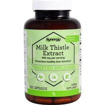 Vitacost Synergy 비타코스트 시너지 밀크 씨슬 엑스트랙 300캡슐, 1개, 1