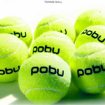 포부 테니스공 연습공 테이스볼 10P, 상세페이지 참조