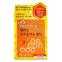 웨이브 프로폴리스 캔디 8개입X5개 페퍼민트맛 레몬맛 멘톨 함유 목에 좋은 사탕 졸음방지 캔디 입냄새제거 목건조할때 목이 부었을때 칼칼할때 코막혔을때 졸릴때 잠깨는 시원한 사탕, 레몬맛 5개(4.5g X 40개입), 5개