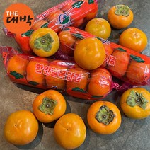 창원 진영 함안 단감 10kg 햇단감, 1box, 봉지단감(중과) 5kg