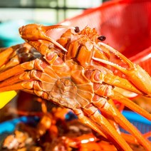 자연맛남 [자연맛남] 속초 붉은대게 자숙 홍게 2kg 6미내외(프리미엄/몸통70%-다리80%), 1