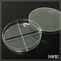 세균 평판배양 미생물 검사 4칸 페트리 접시 샬레 10개 플레이트 배지