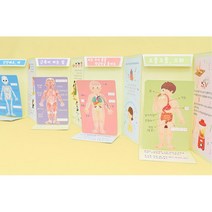 인체 신체기관 아코디언구성 북아트 4P 종이책만들기 포토앨범 초등한국사 홈스쿨링