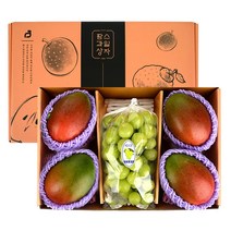 10+1 추석명절 당일발송 프리미엄 과일선물세트 애플망고+샤인머스켓 선물세트