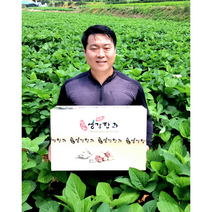 수제 생강 한과 선물세트 2kg 이조팜, 강정2+산자2